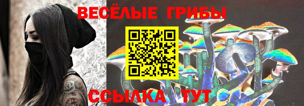 Псилоцибиновые грибы прущие грибы  Вход с VPN  Назрань 