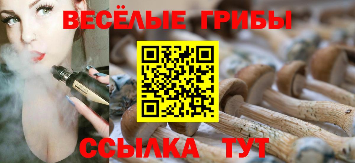 Псилоцибиновые грибы Psilocybine cubensis Назрань